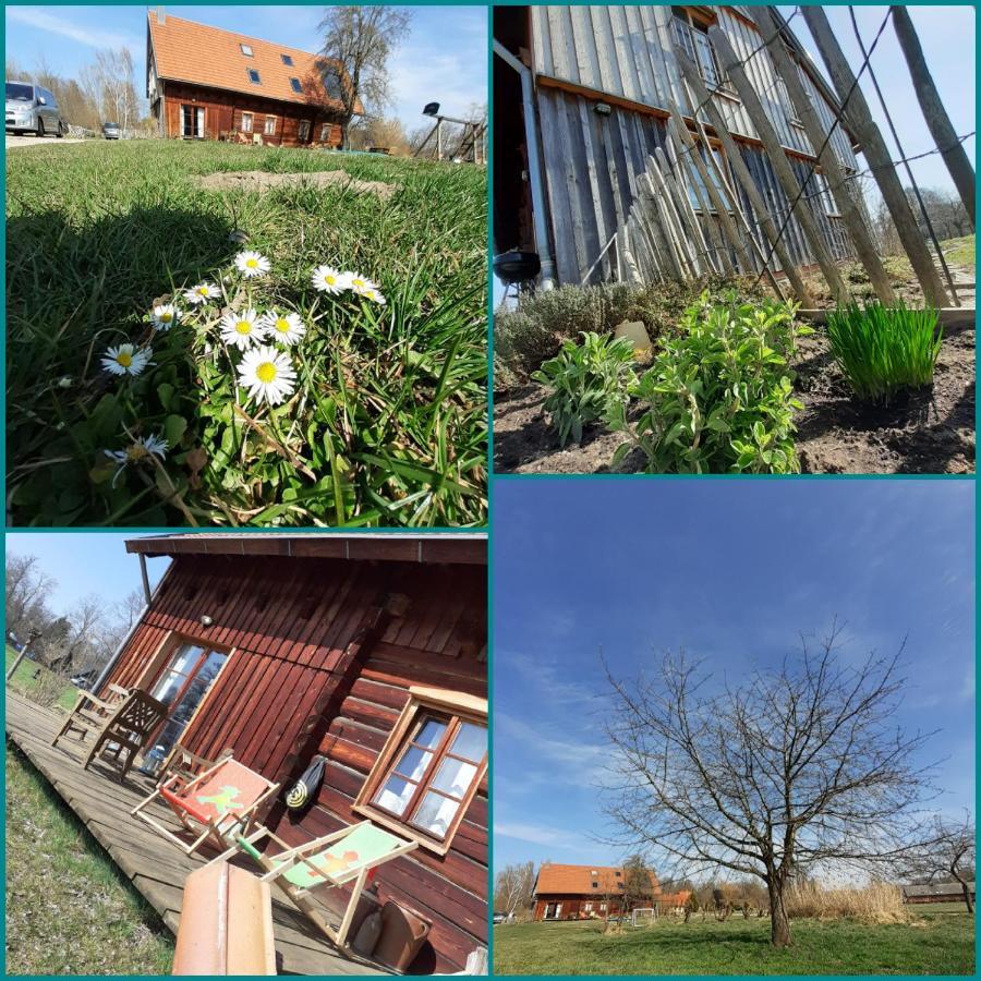 Liljas Haus Im Spreewald Lägenhet Burg  Exteriör bild