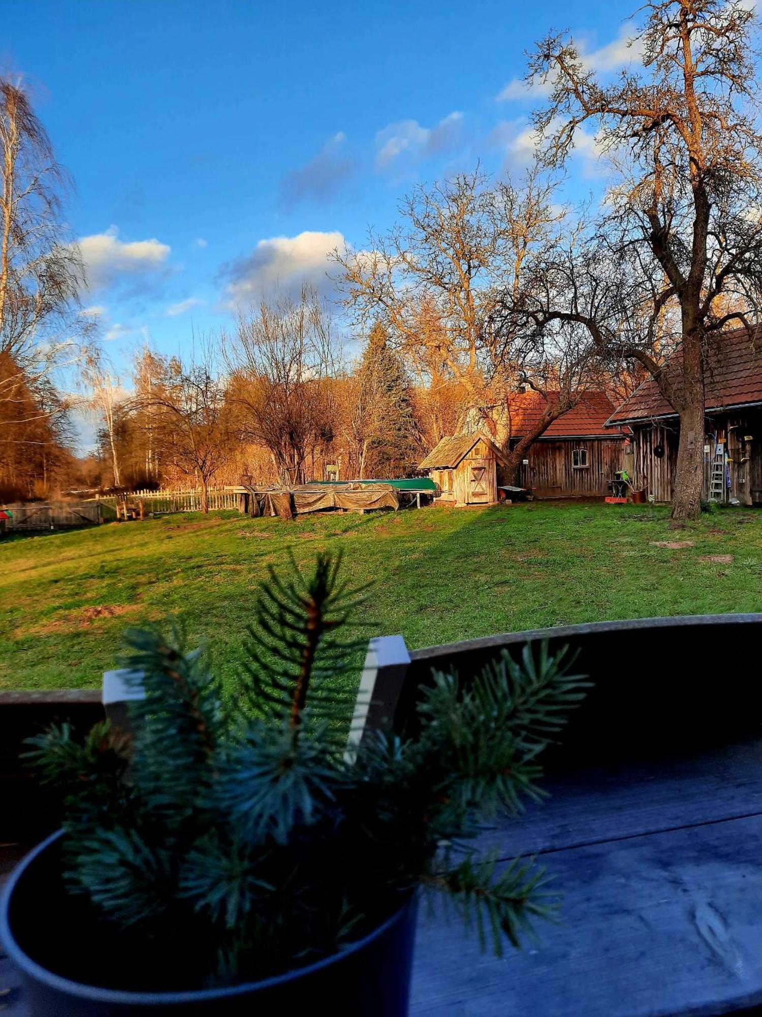 Liljas Haus Im Spreewald Lägenhet Burg  Exteriör bild