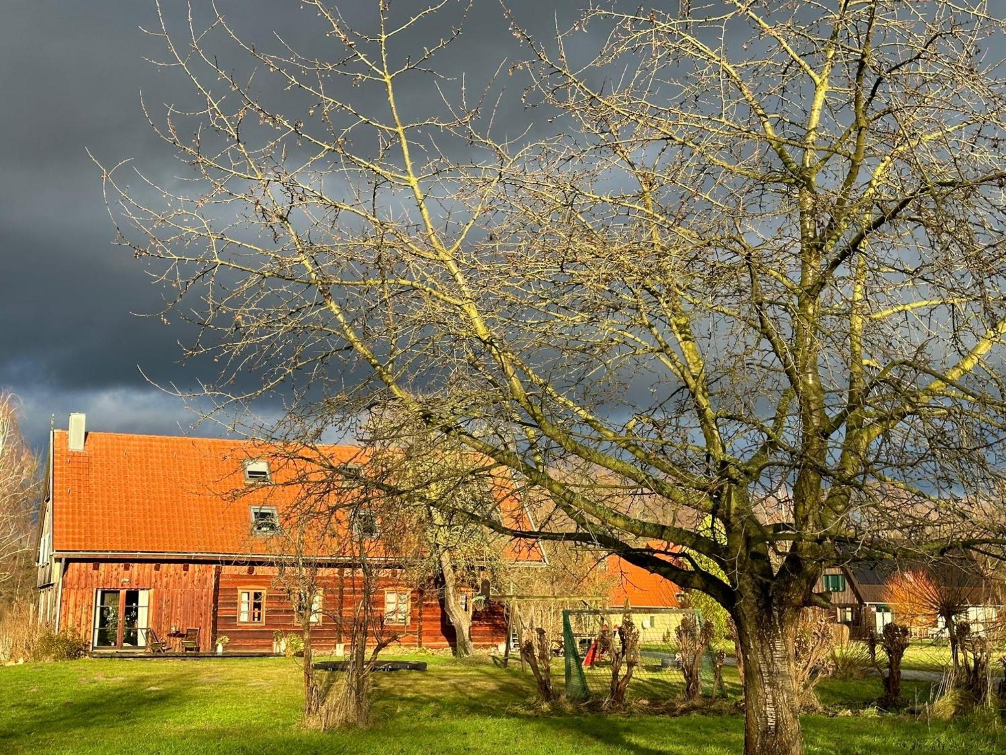 Liljas Haus Im Spreewald Lägenhet Burg  Exteriör bild