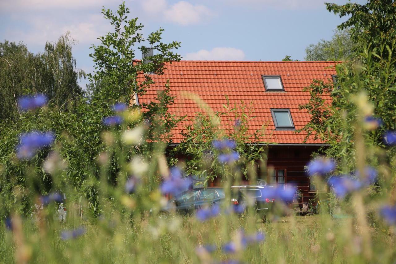 Liljas Haus Im Spreewald Lägenhet Burg  Exteriör bild
